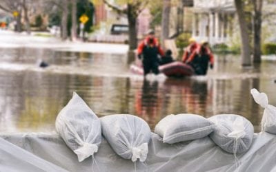 7 Must Have Items for the Prepper in All of Us