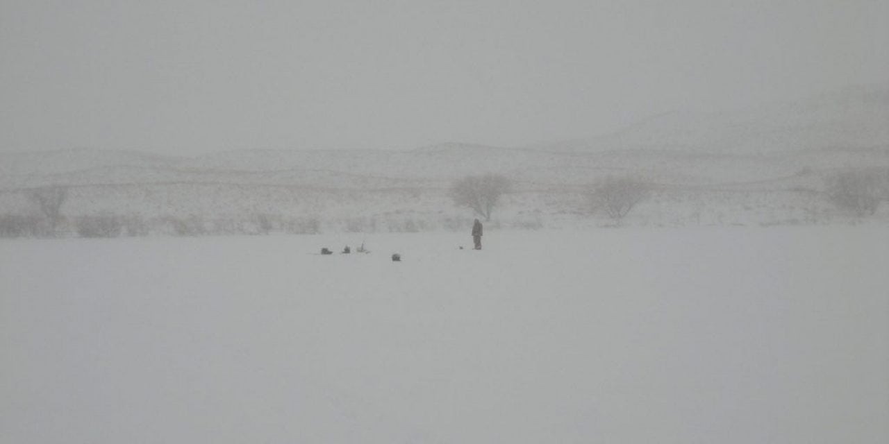 A Sandhills Perch Safari