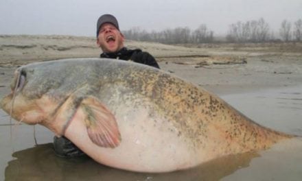 Angler Catches Absolute Monster Catfish Weighing Nearly 300 Pounds