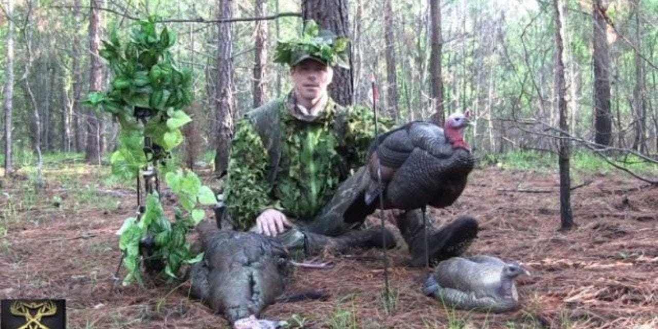 Archery Grand Slam Turkey Hunting with No Blind is a Sight to Behold