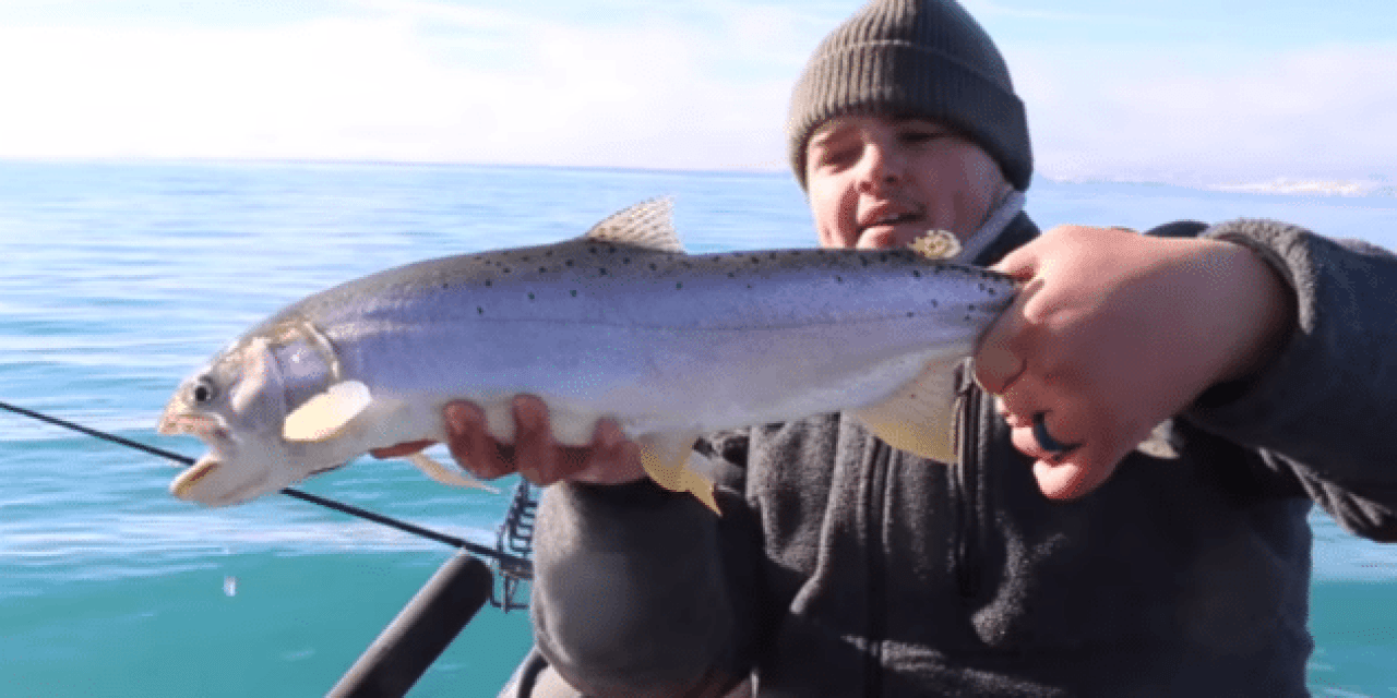 Catching Magnificent Cutthroat Trout with HUSHIN