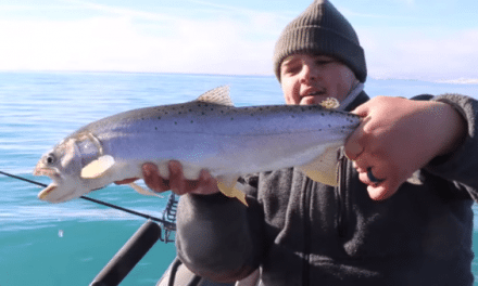 Catching Magnificent Cutthroat Trout with HUSHIN