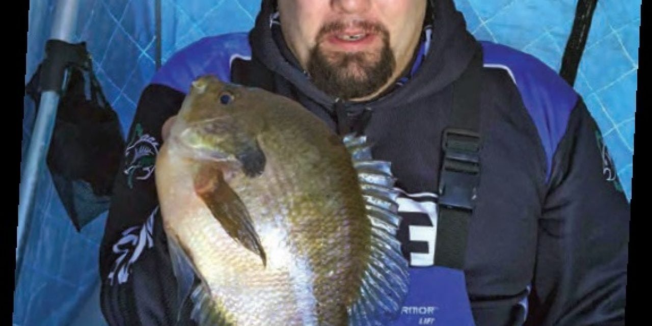 CLAM – BACK COUNTRY PANFISH
