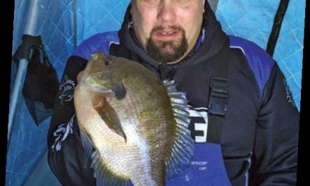 CLAM – BACK COUNTRY PANFISH