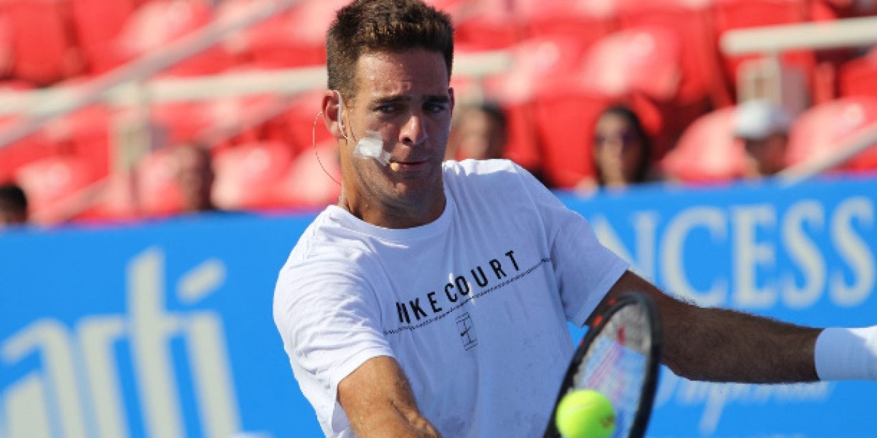 Del Potro: Backhand Coming Back