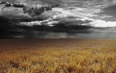 Don’t Let Rain Ruin Your Day. Get Rainproof Outdoor Gear Like This