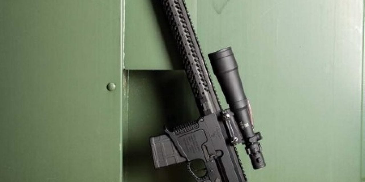 DoubleStar Debuts STAR10-BX Rifle