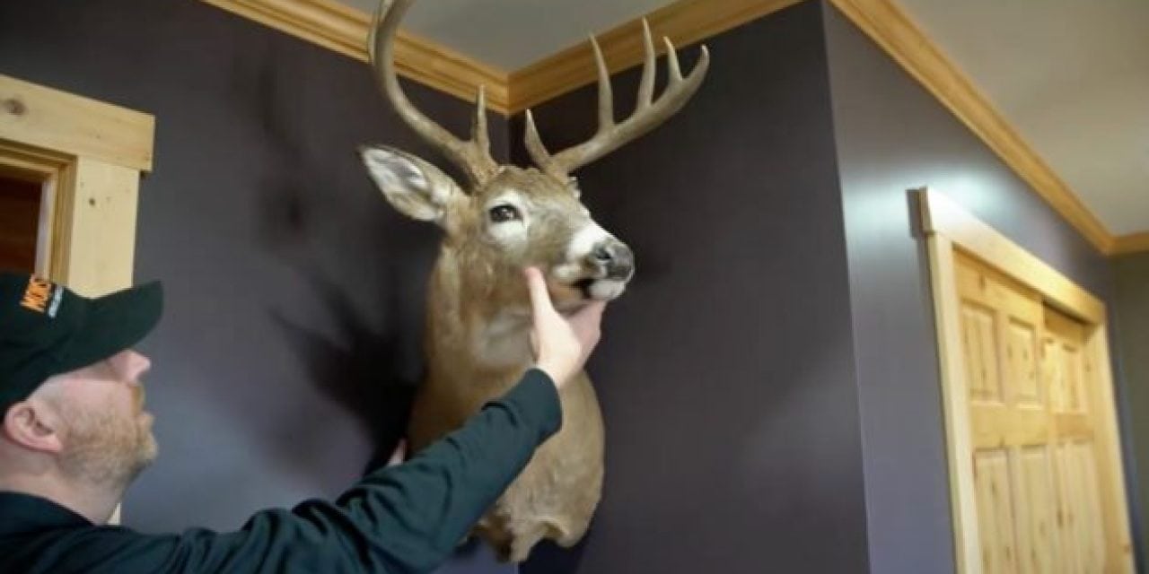 Finally! We Can Now Hang Our Deer Mounts in the Corner