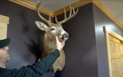 Finally! We Can Now Hang Our Deer Mounts in the Corner