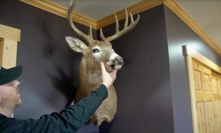 Finally! We Can Now Hang Our Deer Mounts in the Corner