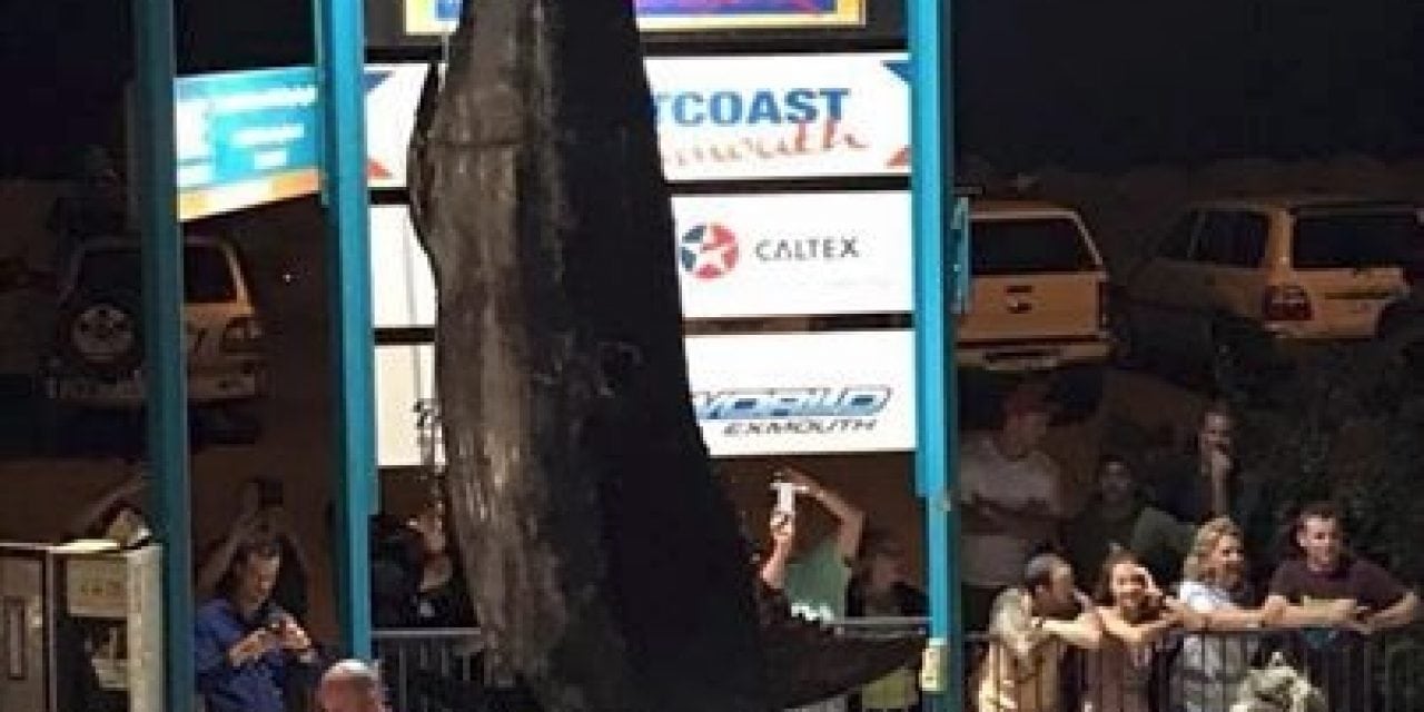 Fishing crew lands 1,089-pound blue marlin