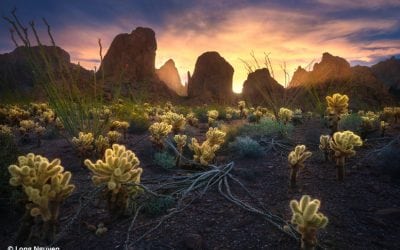 Five Guides To Improve Your Landscape Photos