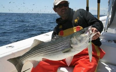 For Sébile, Striped Bass Appeal a Given