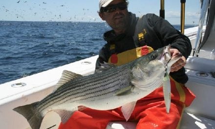 For Sébile, Striped Bass Appeal a Given