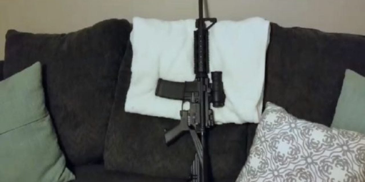 Ginger Billy Explains Gun Control to His AR-15 Rifle