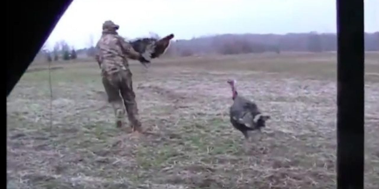 Gobbler vs. Hunter: How to Get Schooled By a Turkey