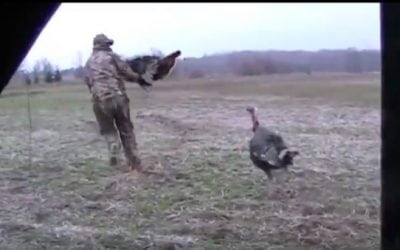 Gobbler vs. Hunter: How to Get Schooled By a Turkey