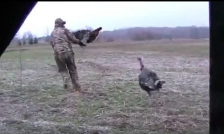Gobbler vs. Hunter: How to Get Schooled By a Turkey
