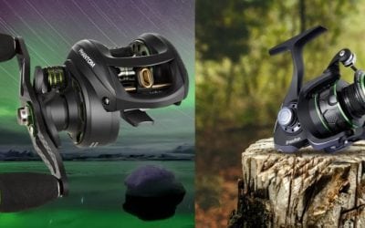 Have You Heard Of Piscifun?