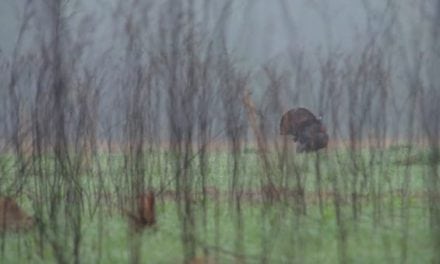 Here’s the New Turkey Season Anthem!