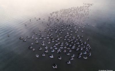 High-Flying Photo Ops Assignment Winner Andrew Thomas