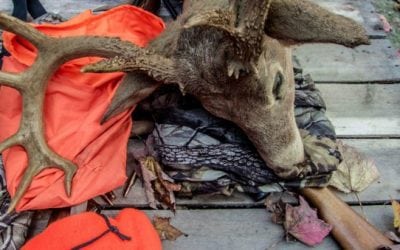 How to Choose a Deer Hunting Shotgun