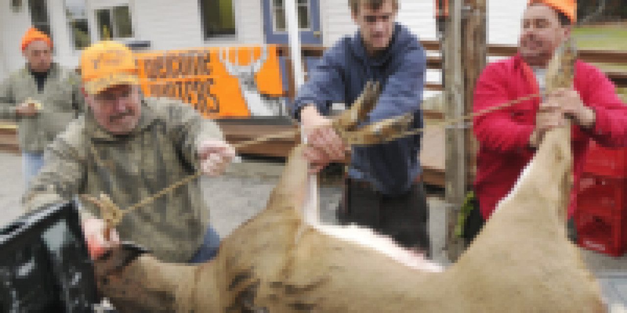 How to Donate Deer Meat: Easier Than You Think
