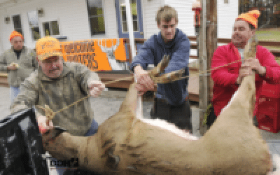 How to Donate Deer Meat: Easier Than You Think