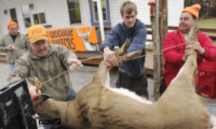How to Donate Deer Meat: Easier Than You Think