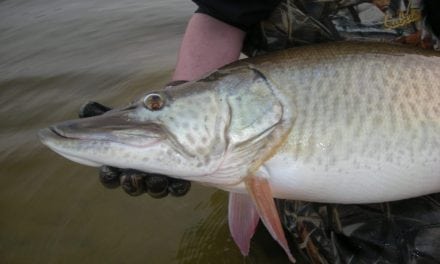 Huskerland Muskie Hunters