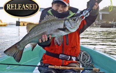 IGFA Hot Catches – February 2018