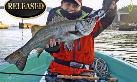 IGFA Hot Catches – February 2018