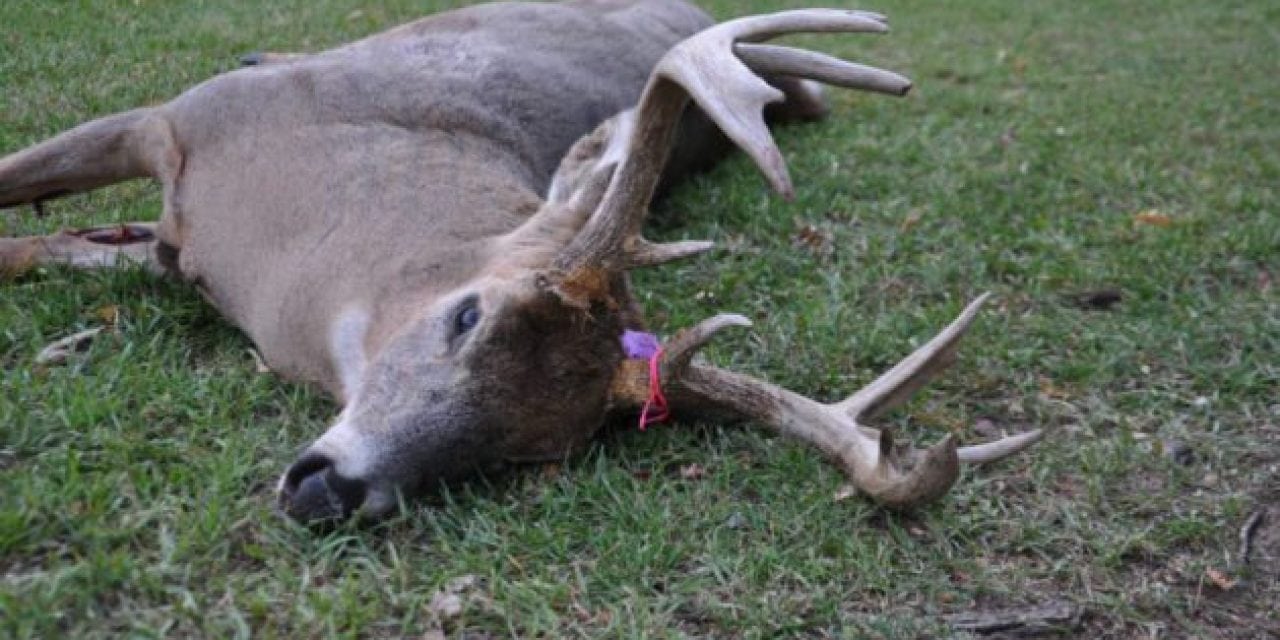 Minnesota and South Dakota Working Hard to Understand CWD Impact