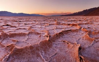 New On OP: reCOMPOSE Podcast