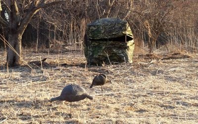 Opening Morning Archery – Final 4 Tips