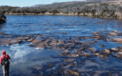 Patagonia Needs to Be on Your List of Places to Fish Before You Die