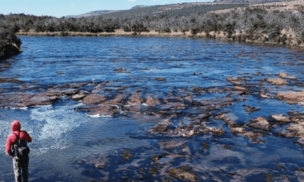 Patagonia Needs to Be on Your List of Places to Fish Before You Die