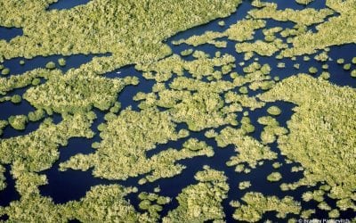 Photo Of The Day By Bradley Paskievitch