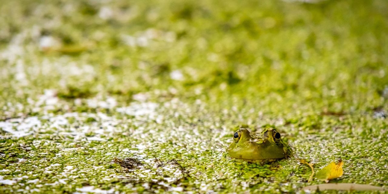 Photo Of The Day By Dan Luchs