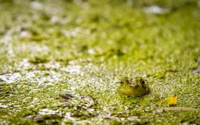 Photo Of The Day By Dan Luchs