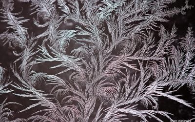 Photo Of The Day By Jen Ulasiewicz