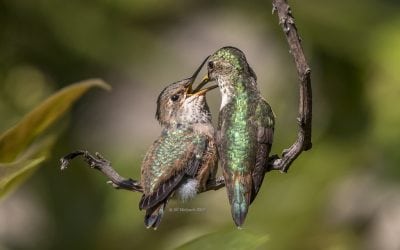 Photo Of The Day By Jill Matyuch