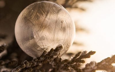 Photo Of The Day By Sharlea Taft