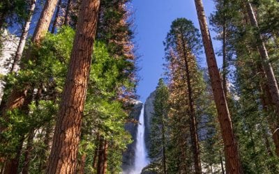 Photo Of The Day By Taylor May