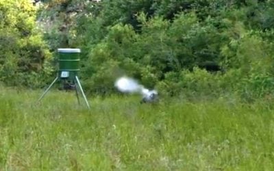 Pigman Blows the Dust Off a Big Pig