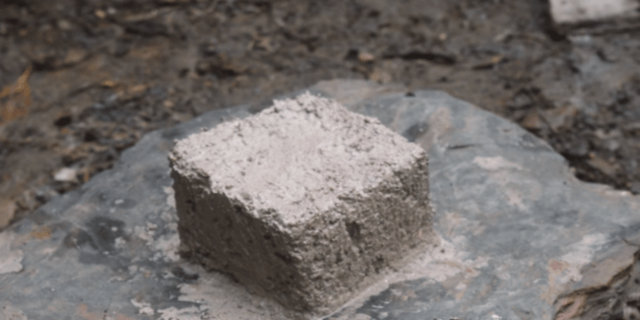 Primitive Technology: Making Lime from Snail Shells