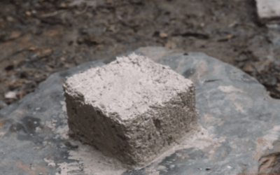 Primitive Technology: Making Lime from Snail Shells