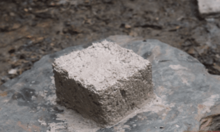 Primitive Technology: Making Lime from Snail Shells