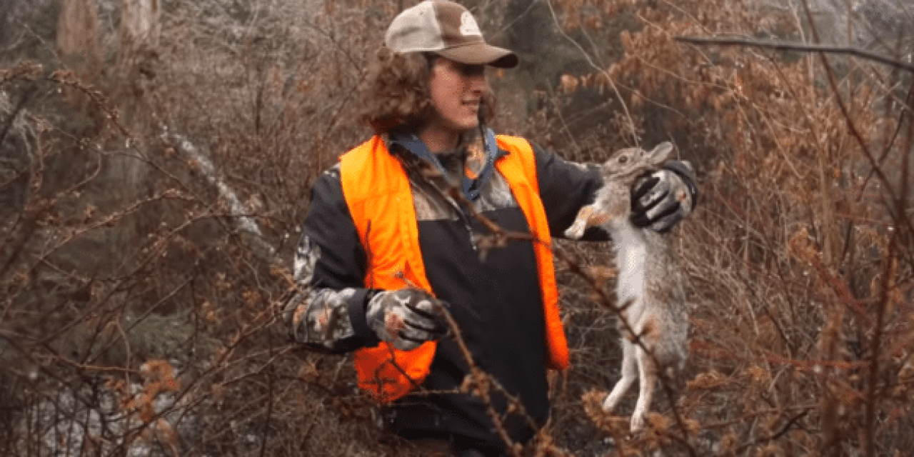Rabbit Hunting: Kicking the Thick Brush for Bunnies