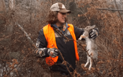 Rabbit Hunting: Kicking the Thick Brush for Bunnies